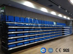 স্টেডিয়াম ইন্ডোর টেলিস্কোপিক প্ল্যাটফর্ম আসন